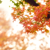 胡艺华:音乐里的哲思——《世界赠予我的》