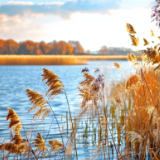 美文丨肖凌之:武师旧忆