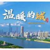 音乐丨《温暖的城》