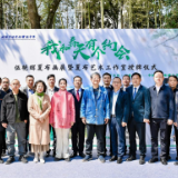 以布为纸“织”春入画 伍艳辉夏布画展暨夏布艺术工作室成立