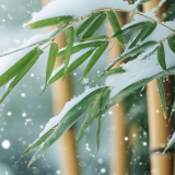 散文丨刘道云：雪花飘在山那边