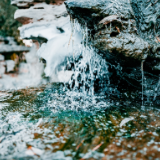 散文丨王达能：春山醒得早