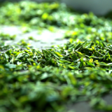 散文丨文兰：茶香云深处