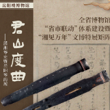 湘见万年丨千年回响：洞庭水云间 那是屈原在琴音里的诗意行吟