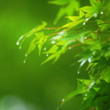 生态文学丨刘翼平：云母溪八景诗