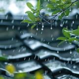 艺评丨胡晓江：雨润山河自悠远