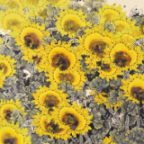 诗配画丨陈惠芳、李瑞：故乡的那一丘向日葵，被一支画笔唤醒了