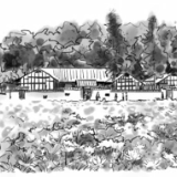 农民吃上“文学饭”