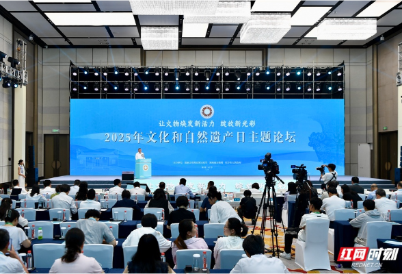 2025年文化和自然遗产日主题论坛在长沙举办