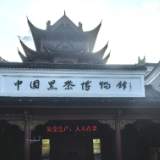 散文丨蒋集政：安化茶马古道行