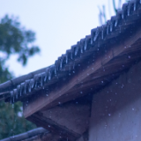 随笔丨洪樱：烟雨城池