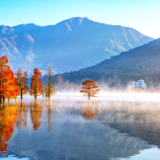 生态文学丨徐昌贵：一道消失的风景