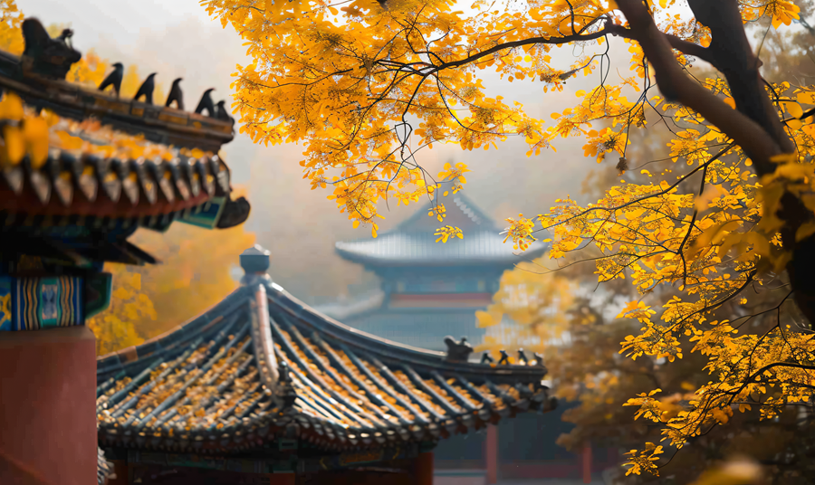 千库网_秋天古寺黄叶_摄影图编号20585256_副本.png