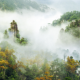 避暑康养到湖南⑩丨郴州莽山&万洋山：清凉相邀 在云端与自然相拥