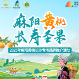 “长寿圣果”麻阳黄桃7月30日亮相长沙 沉浸式品鉴开启全域推广