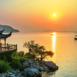 生态文学丨仙鹤草：资江北岸的故事