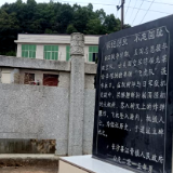 散文丨陈恭森：枫树坪的抗战往事