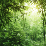 生态文学丨熊幽：循着箫声