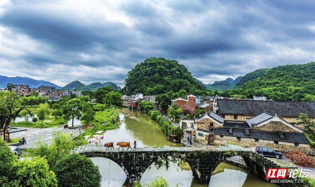 上甘棠村。易跃跃.jpg
