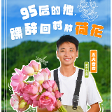 平凡的主播⑧丨五夫春春：95后的他，“裸辞”回村种荷花