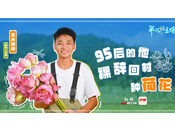 平凡的主播⑧丨五夫春春：95后的他，“裸辞”回村种荷花