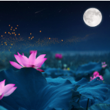 散文丨陈恭森：点诱蛾灯