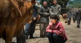电视剧《生万物》获好评 展现人对土地的深情