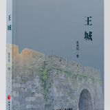 专栏丨黄亮斌：王城（节选1）
