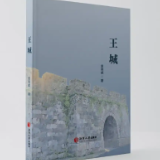 专栏丨黄亮斌：王城（节选2）