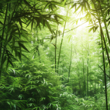 芙蓉·散文丨胡竹峰：画蛇记