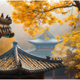 芙蓉·散文丨詹谷丰：寻隐者不遇