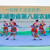 “农活高手”齐聚安江 湖南省第八届农耕大赛怀化开赛