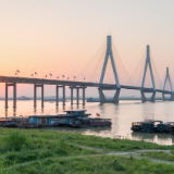 生态文学丨戴志刚：家在洞庭西（节选）