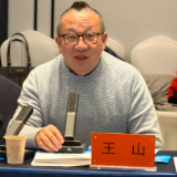 王山:让诗歌在冰雪中打开感官,在融合中拓展边界