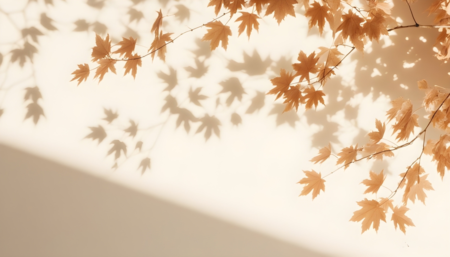 千库网_房间里阳光明媚的白墙笼罩着宁静和温暖_摄影图编号21694303_副本.jpg 千库网_房间里阳光明媚的白墙笼罩着宁静和温暖_摄影图编号21694303_副本.jpg