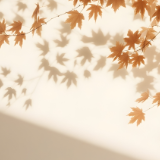 芙蓉·散文丨马婷：德善的厨房