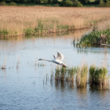 生态文学丨张雪云：洞庭之西