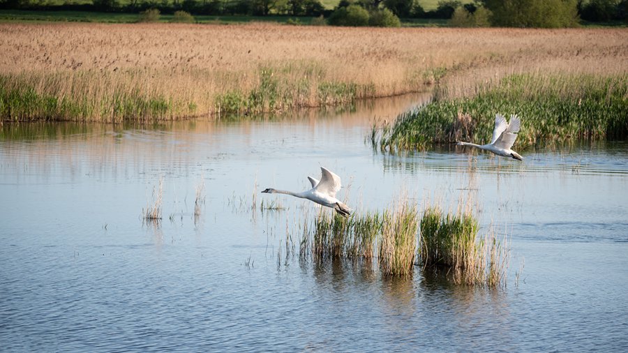 ING_19067_16231_副本.jpg ING_19067_16231_副本.jpg