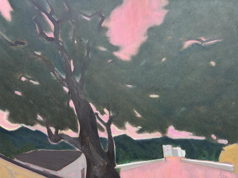 图片13.png 图片13.png