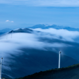 艺评丨郭景华：摛文遣怀 体物言志