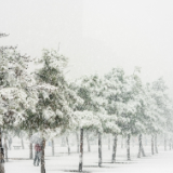 随笔丨张毅龙:岁暮心迹