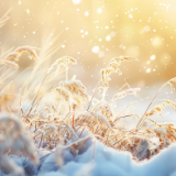 芙蓉·评论丨李浩：一曲“久不作”的英雄赞歌