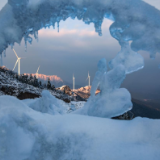 生态文学丨杨跃清：雪地谜踪