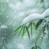 诗歌丨陈龙江：雪落平江