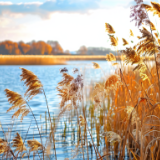 张才山：犬木塘赋