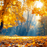 散文丨张珑辉：父亲的木炭温暖家