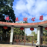 散文丨蒋集政:流花湖色