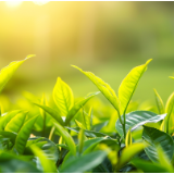 诗词丨易庆安:平安网织万千张,科技为纲,永佑安康