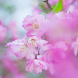 诗歌时刻丨吕宗林：立春日想起方孝孺