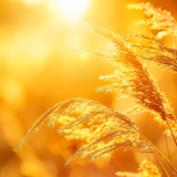 散文丨胡晓江：开店记